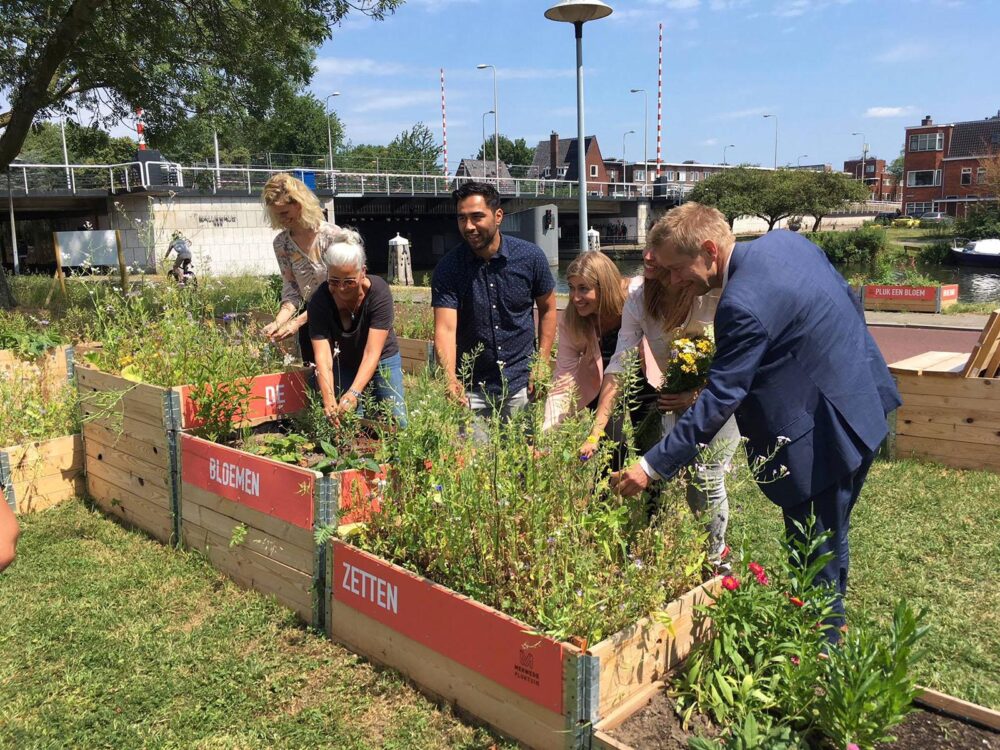 HIK Ontwerp Pluktuin